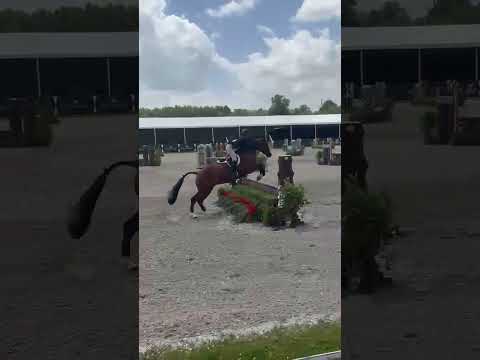 Cassadino video 1