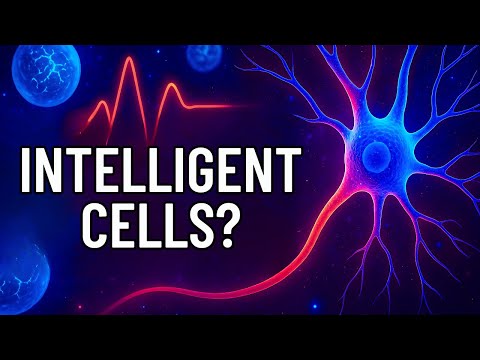 Bioelectricity & The Hidden Intelligence of Cells