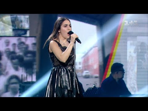 Srbui Sarhsyan 'Human' – The Final – The Voice of Ukraine – season 8