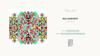 "Dive In" by Nai Harvest