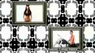 Pitbull ft DJ MST - Un Poquito Turkey Remix