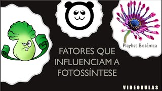 Fatores que influenciam a fotossíntese