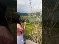 Danau Apa Lupaa Dp Nama