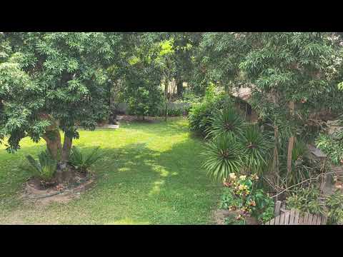 Guide for the Journey Home, Chapter Three - P'Taah - by Jani King