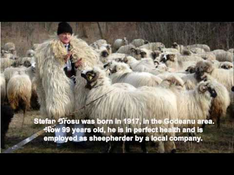 MAGURENI – THE VILLAGE UNDER THE GODEANU PEAK