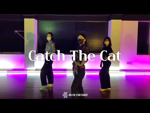 대구댄스학원 문스타댄스 Cherry Laine - Catch The Cat | SSOJIN Waacking 왁킹