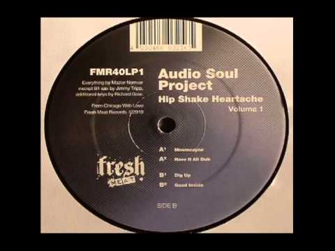 Audio Soul Project - Dig Up - Fresh Meat Records