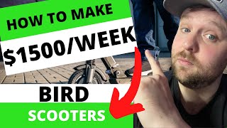 How to Make $50+/Hour with Bird Scooters ($1500+ Per Week!)
