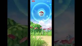 【ポケモンGO】ポケモンGO Fest 2022 シェイミゲットシーン