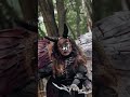The Morrigan Celtic Goddess Of War Who Decides Your Fate ️