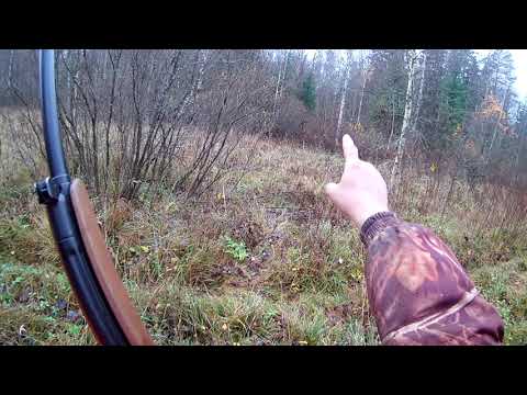 Загонная охота сезон 2019 2020 Часть вторая Ура трофей добыт чисто!!!