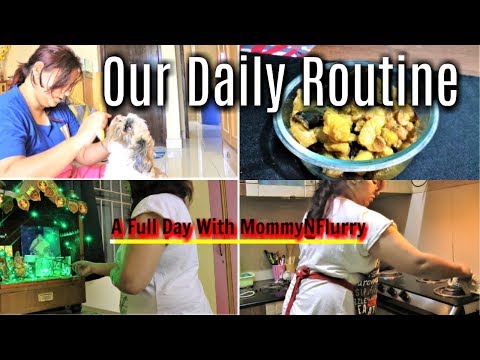 Indian Housewife Daily Routine 2018 | Pet Mom Daily Routine | Shih tzu's Daily Routine