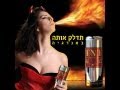 TNT Energy Drink is a High Quality, Top Shelf ...