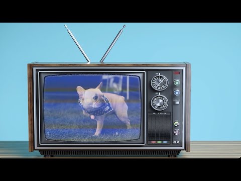 Gryffin, Elley Duhé - Tie Me Down TV (Slowed) [1 Hour Loop]