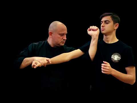 Maestria Wing Chun - Brussels Academy Trailer 01