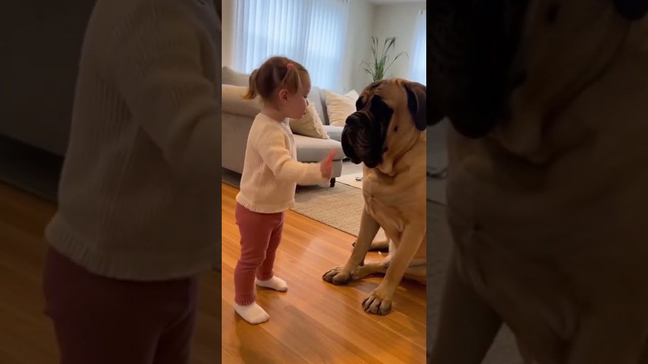 so cute #viral #trending #short