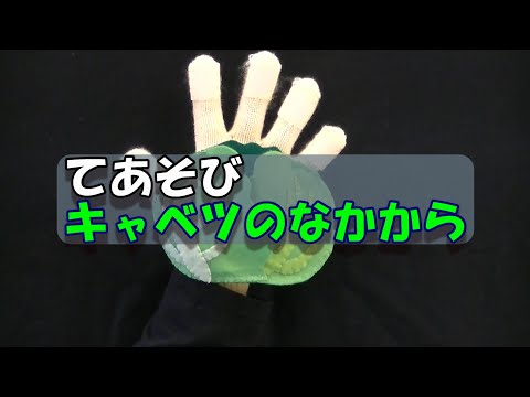 社会学科 てあそび「キャベツのなかから」（甲南大学）