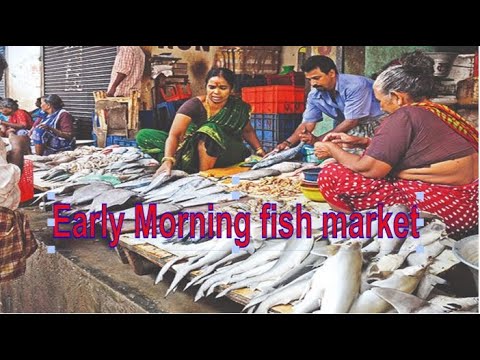 Early Morning Fish Market Scenes | Amazing Biggest Fish Market | Bird and Animal Sound