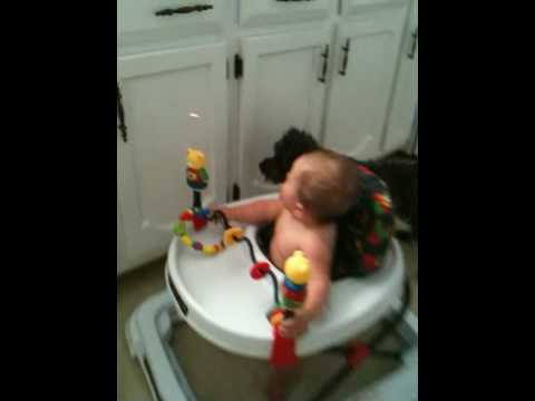 Sam, Brodie and the Red Dot