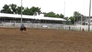 preview picture of video 'Scooter 4D at Belle Fourche Futurity'