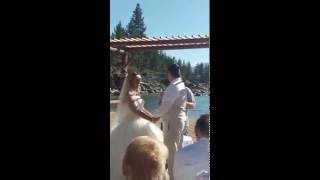 Brad Smith & Melissa's Wedding 07-14-2016