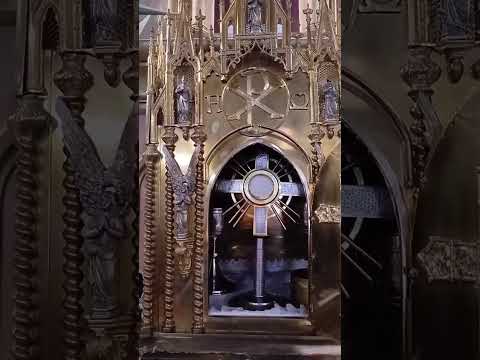 Adoracion Al Santisimo Sagramento del Altar con el Padre Fabian Esteban Oliva. 11/10/26