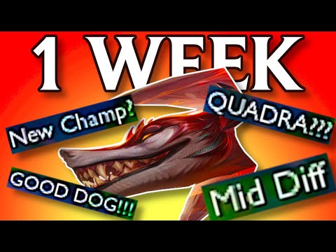 I Spent 1 WEEK Learning Naafiri to PROVE She's UNDERRATED