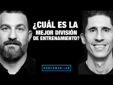 ¿Cuál es la Mejor División de Entrenamiento? (Huberman Lab Podcast)