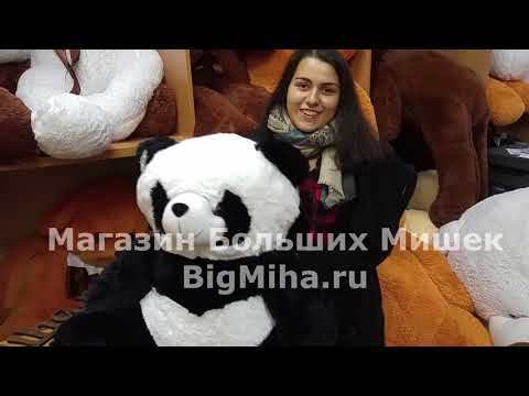 Нашла самую красивую плюшевую панду в Санк-Петербурге