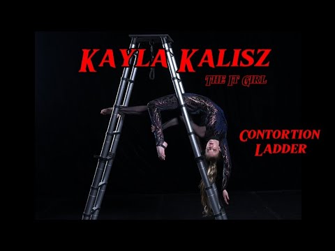 Promotional video thumbnail 5 for Aerial Adventures