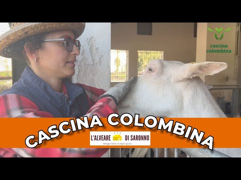 Alveare di Saronno - Intervista e visita a Cascina Colombina (Formaggi di Capra)!
