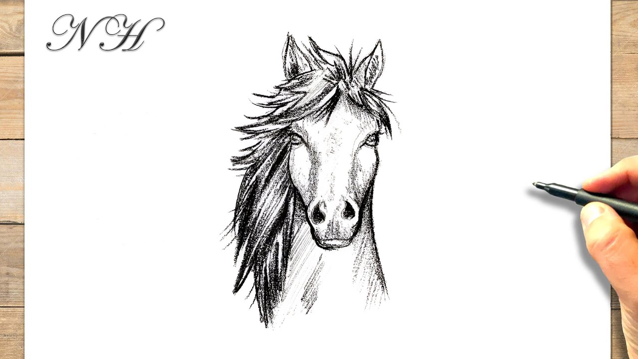 Comment dessiner un cheval de face