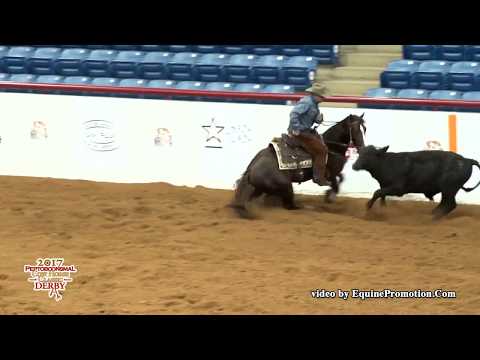 SJR All Time Cash ridden by Lyle G. Proctor  - 2017 NRCHA C of C (Cow Work - NP Derby)
