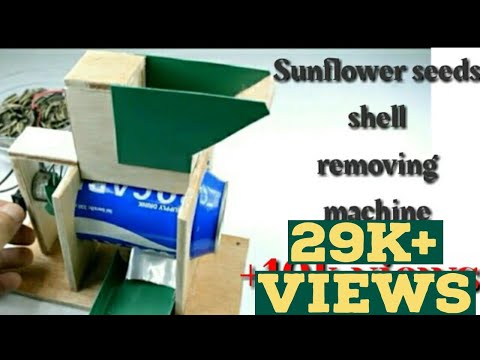 download lagu mp3 mp4 Organic Sunflower Seeds In Shell Salted, download lagu Organic Sunflower Seeds In Shell Salted gratis, unduh video klip Organic Sunflower Seeds In Shell Salted