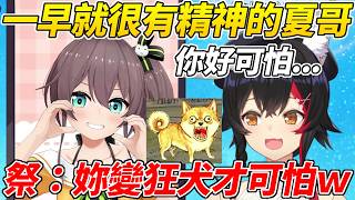 狼媽聽了馬自立超狂生活節奏覺得很可怕結果被吐槽「妳變狂犬才可怕」ww【大神澪/夏色祭】【ホロライブ切り抜き】【HOLOLIVE中文】