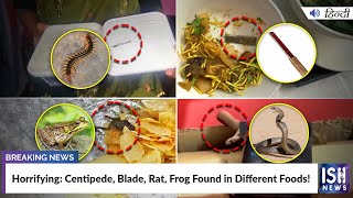 Horrifying: Centipede, Blade, Rat, Frog Found in Different Foods!