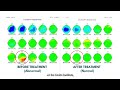 Treating ADHD Without Medication At The Drake Institute
