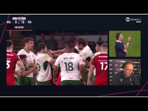Eben Etzebeth Red Card For Eye Gouging Alex Mann | Wales 0-73 South Africa