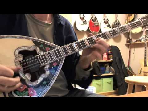 Broufas bouzouki Flowers.wmv
