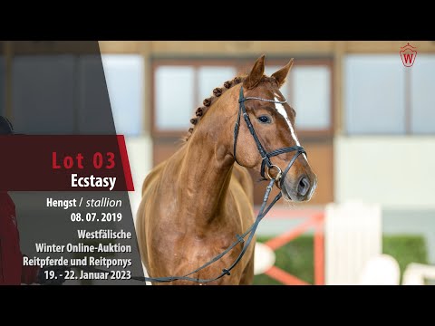 Winter Online-Auktion Lot 03 Ecstasy Hengst v. Escolar  -Sir Donnerhall I