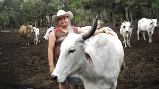 preview picture of video 'José Chuello en el Corral de la Quesera Fundo Mata Rica'
