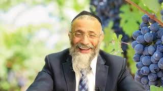 הרב מיכאל לסרי | שיעור קורע מצחוק 🤣 "הדודה מארגנטינה" 🌎 חובה צפייה