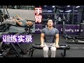 【手臂篇】手臂应拆开练,别再做二三头超级组了,普通人哪承受得了