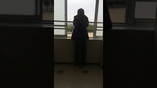 うたってみた