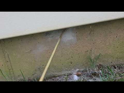 Yellow Jackets Nest Under the Siding of Home in Rocky Hill, NJ