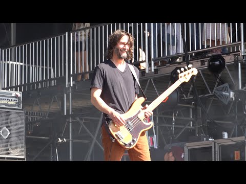 Flowers - Dogstar
