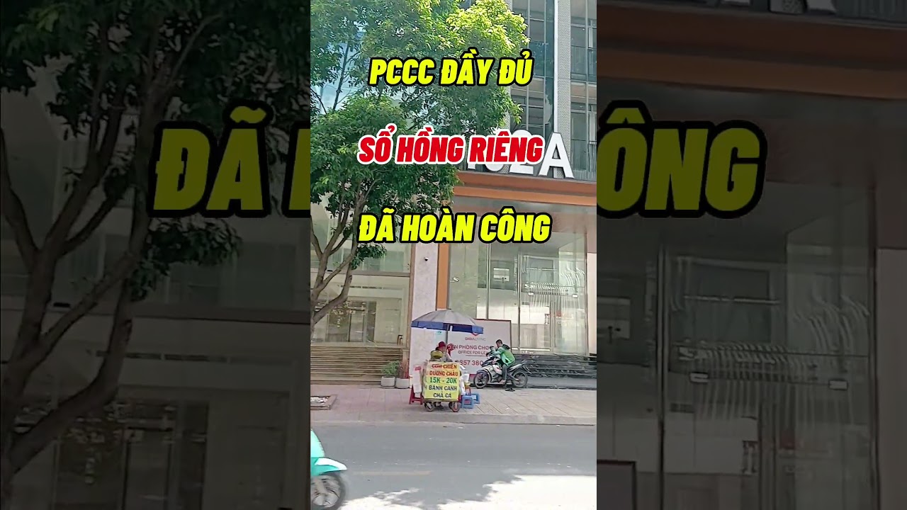 Ảnh đại diện Video