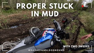 We Took Adventure Bikes Off Road and THIS Happened!