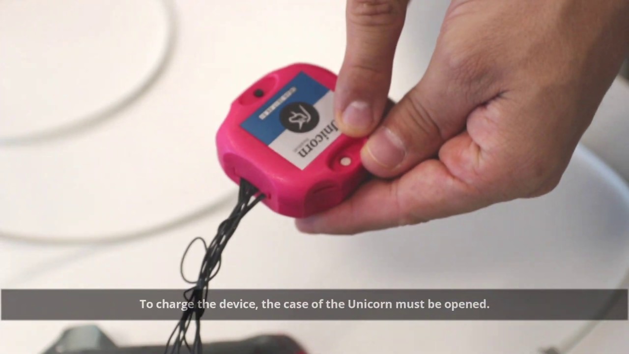 Unicorn Brain Interface Handling