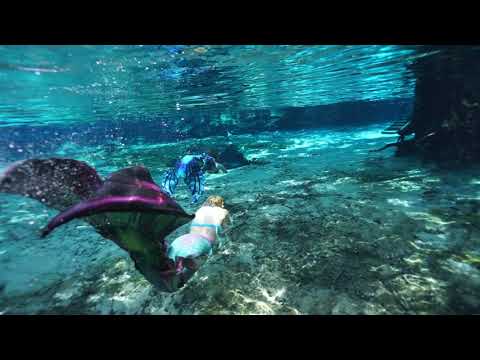 Mertailor Mermaid Tails | Fantasea Fin Three | Ginnie Springs